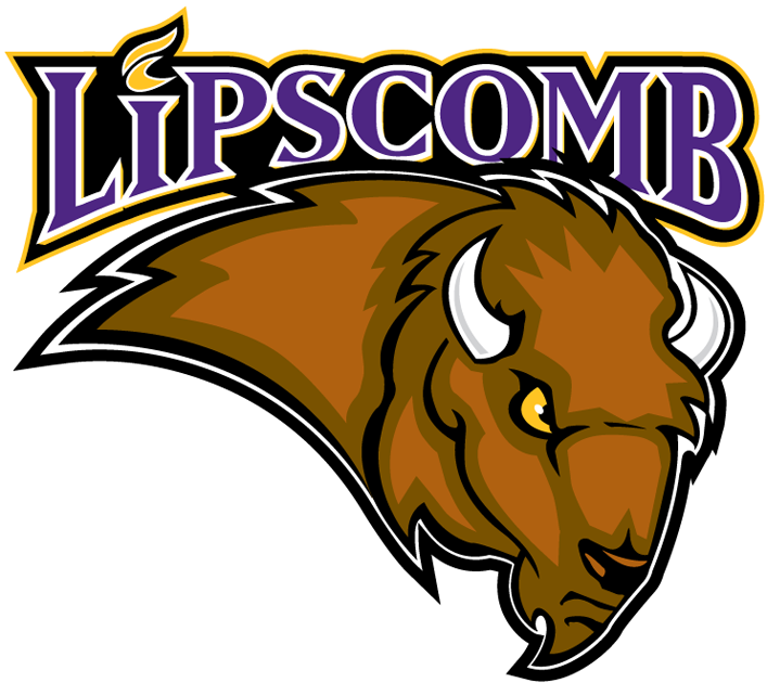 Lipscomb Bisons 2002-2011 Primary Logo iron on transfers for fabric